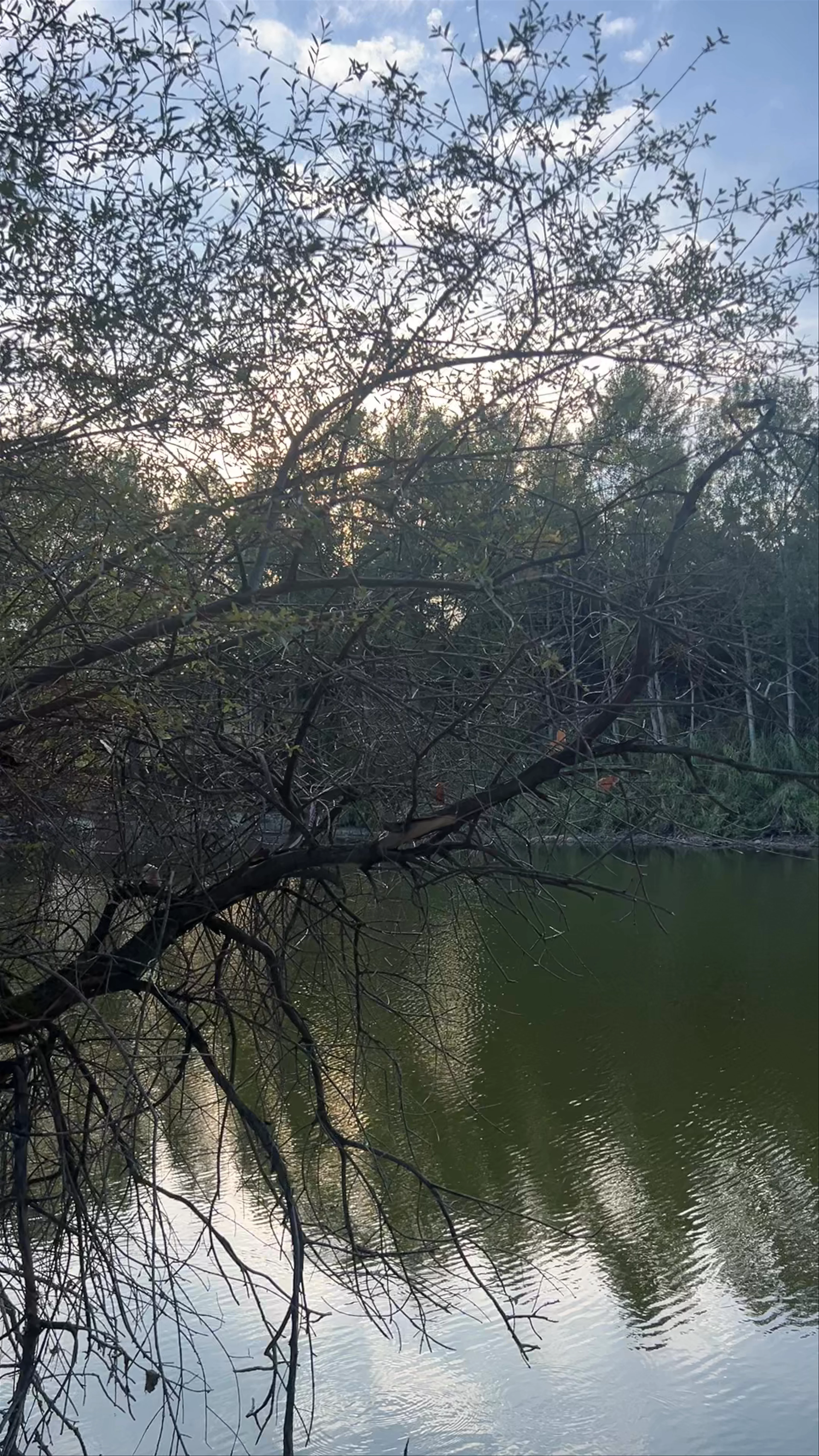 Oreokastro Lake