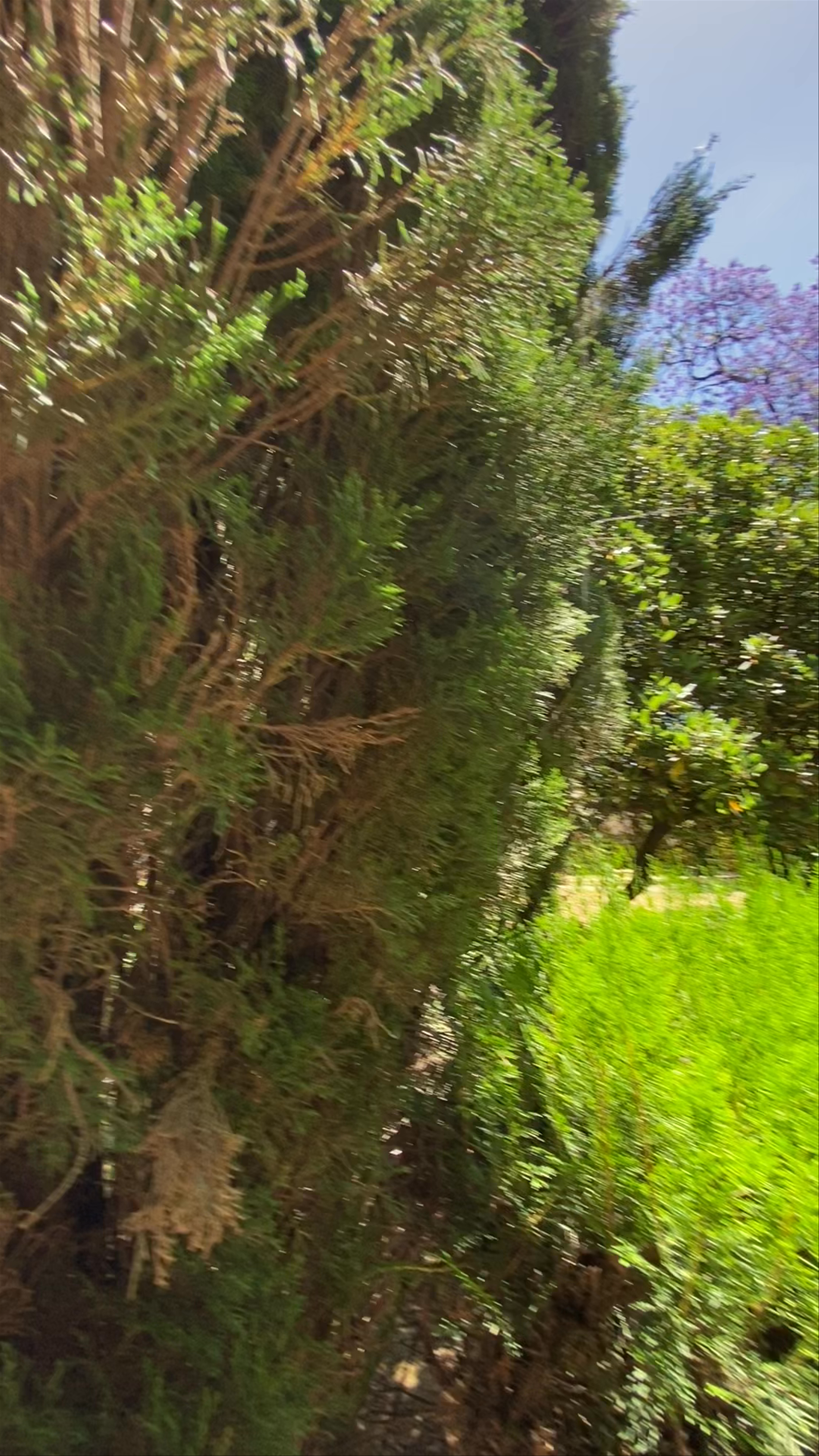 Strolling Through Museo Palacio del Tiempo Gardens in Jerez de la Frontera