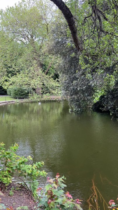 St Stephen's Green - Parks Near Me - Dublin, D