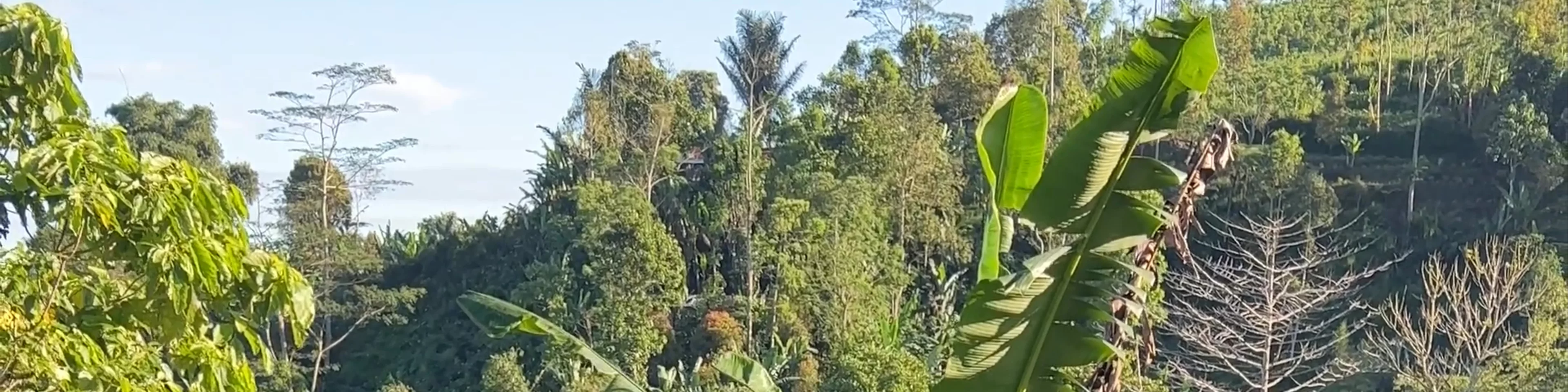 Munduk Moding Plantation Nature Resort
