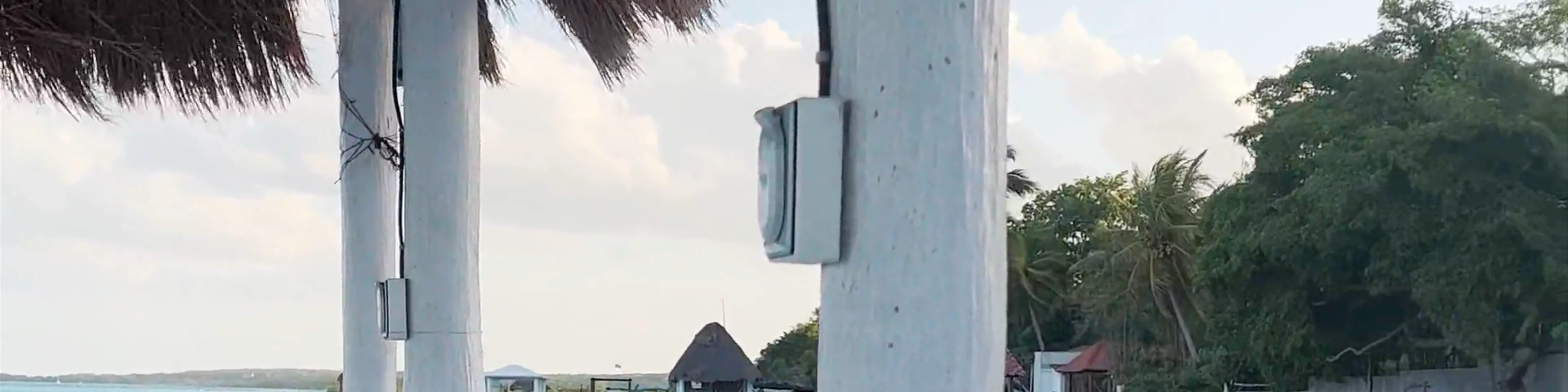 Royal Palm Bacalar