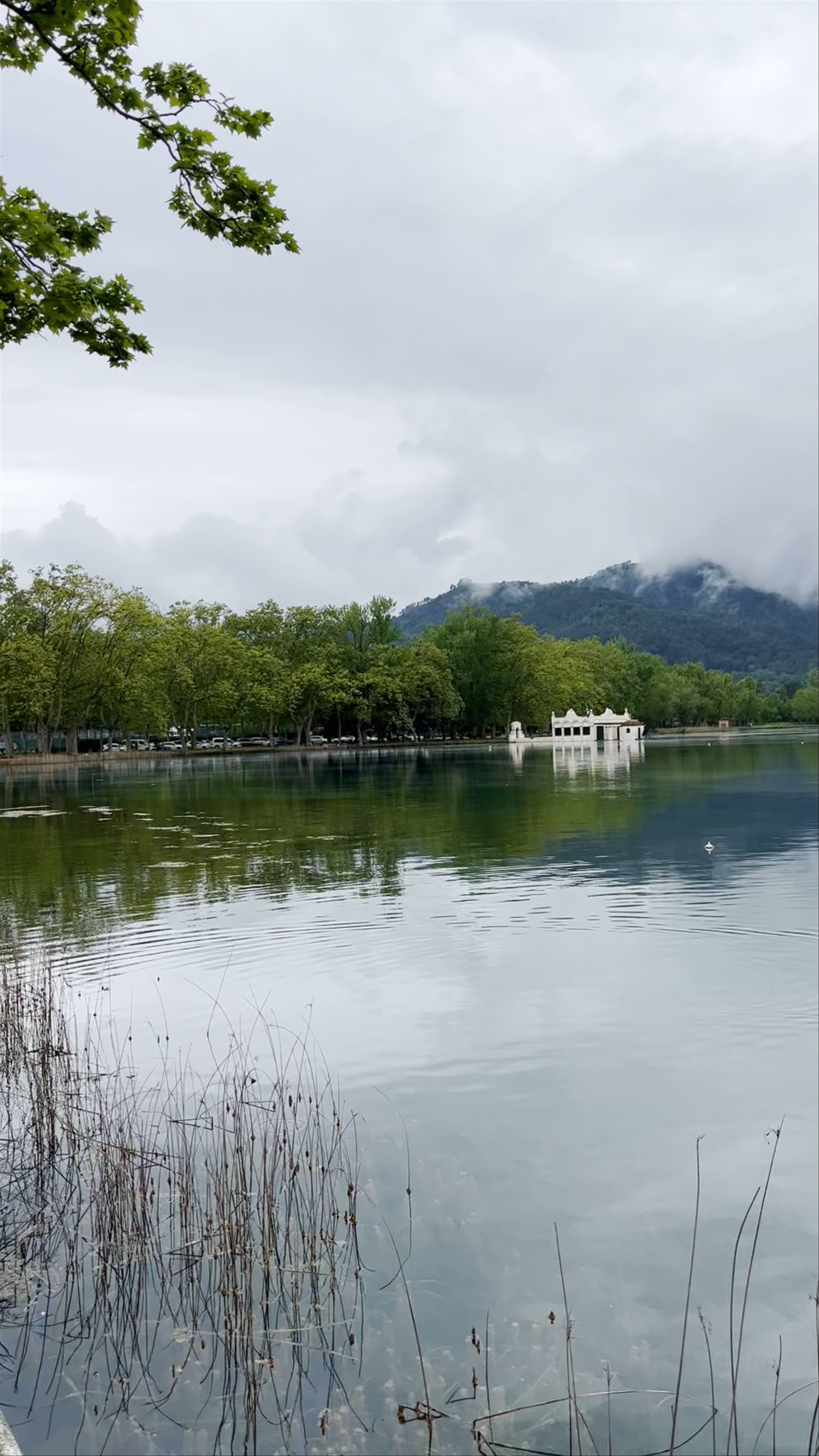 Pesquera Llinàs-Padró