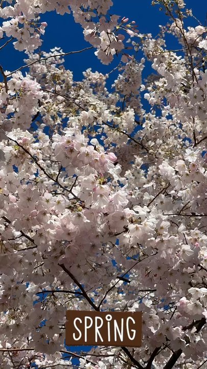 Stanton Park - Parks Near Me - Washington, DC, District of Columbia