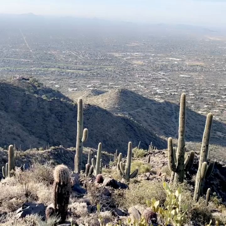 Black Mountain Summit Trail - Summit - Hiking Near Me - Cave Creek, Arizona