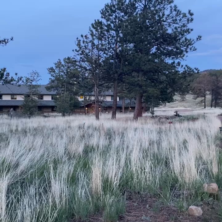 Drala Mountain Center - Health Retreats Near Me - Red Feather Lakes, Colorado