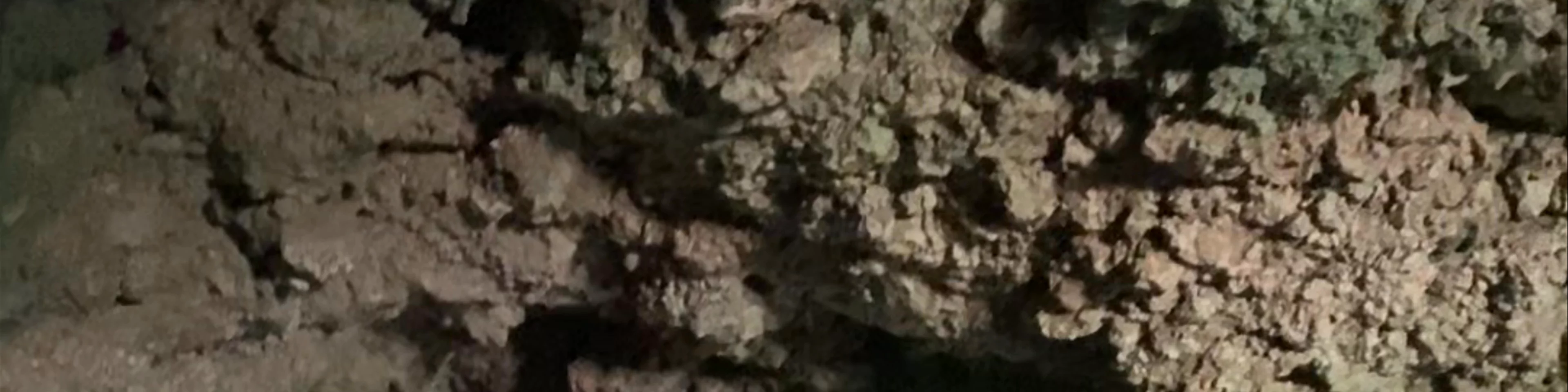 Kuza Cave