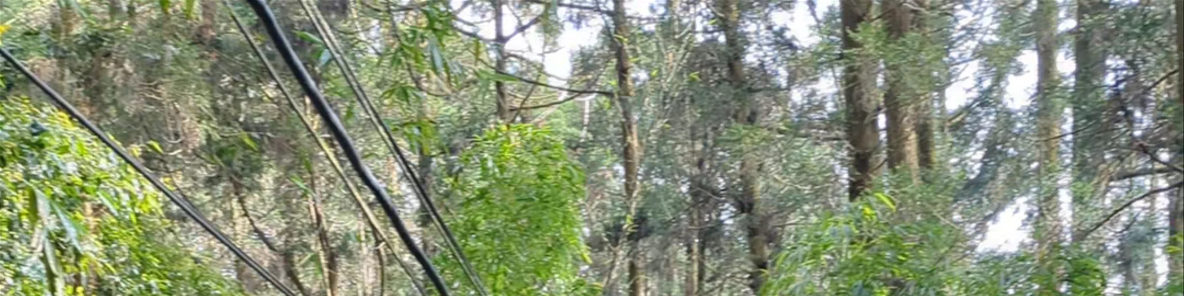 Tashan Trail