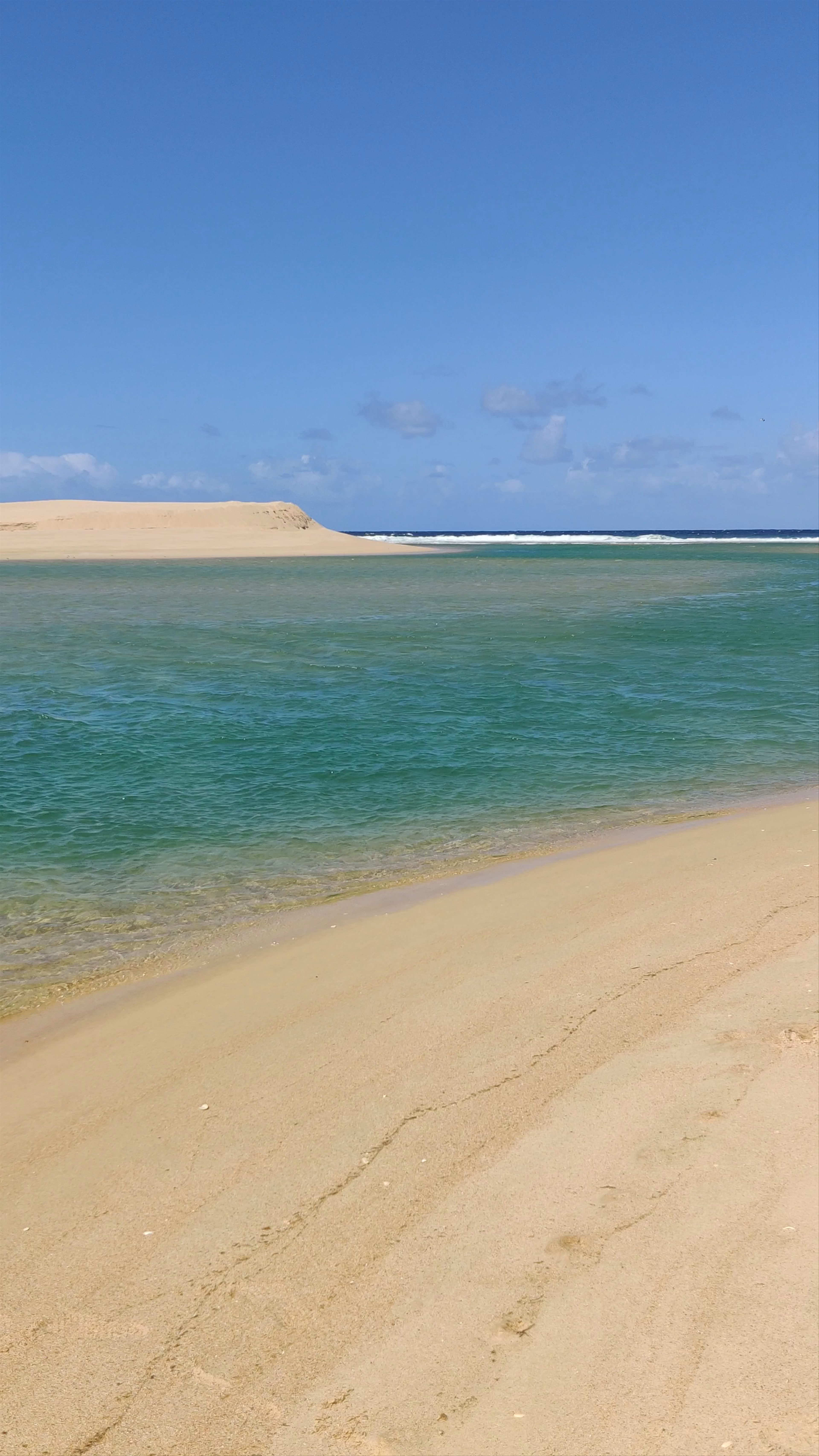 Reserva Natural das Lagoas de Santo André e Sancha