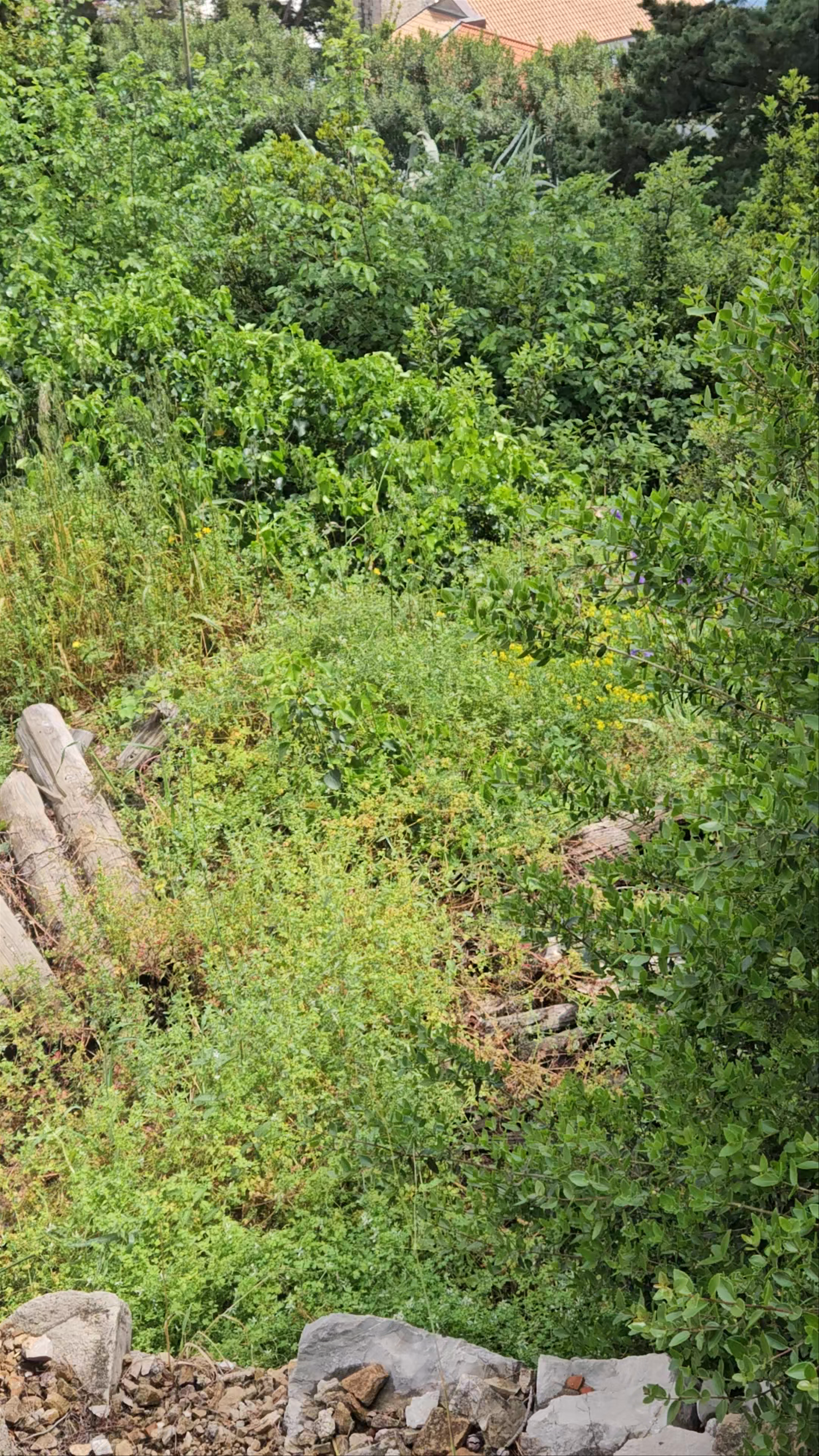 Mausoleum of the Racic family
