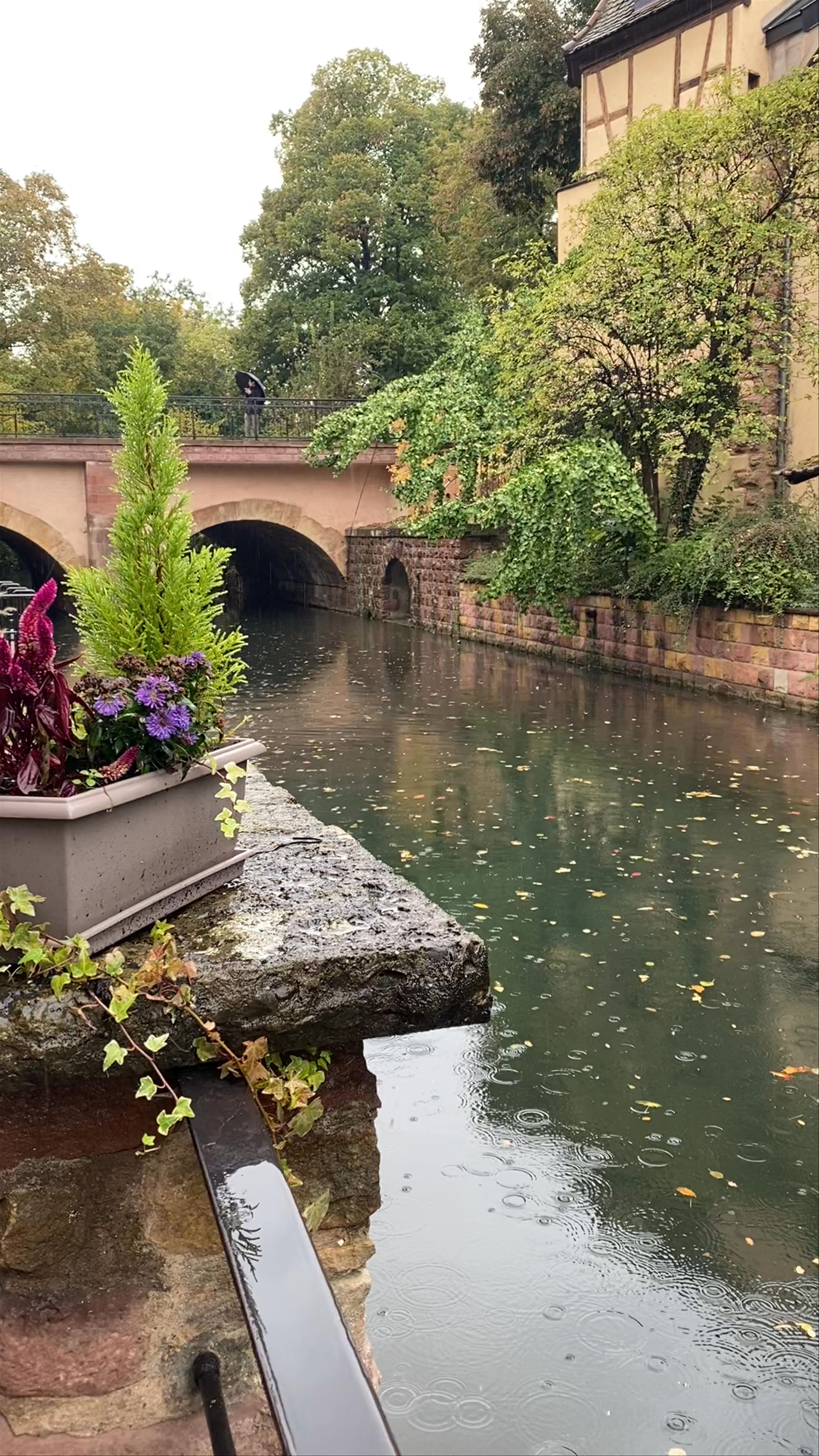 La Petite Venise