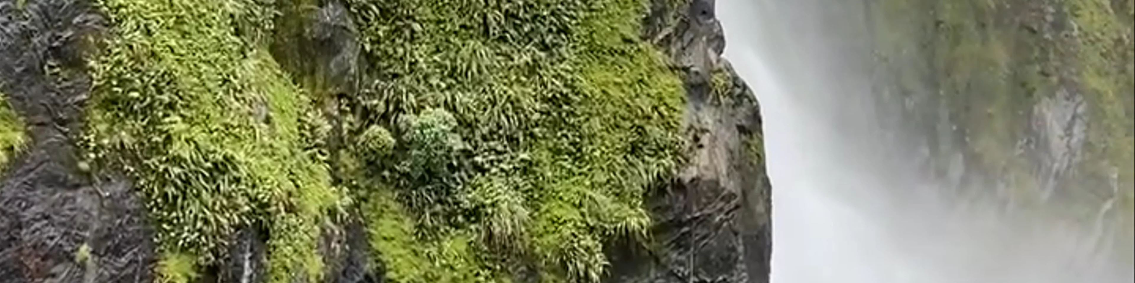 Bowen Falls Milford Sound Highway