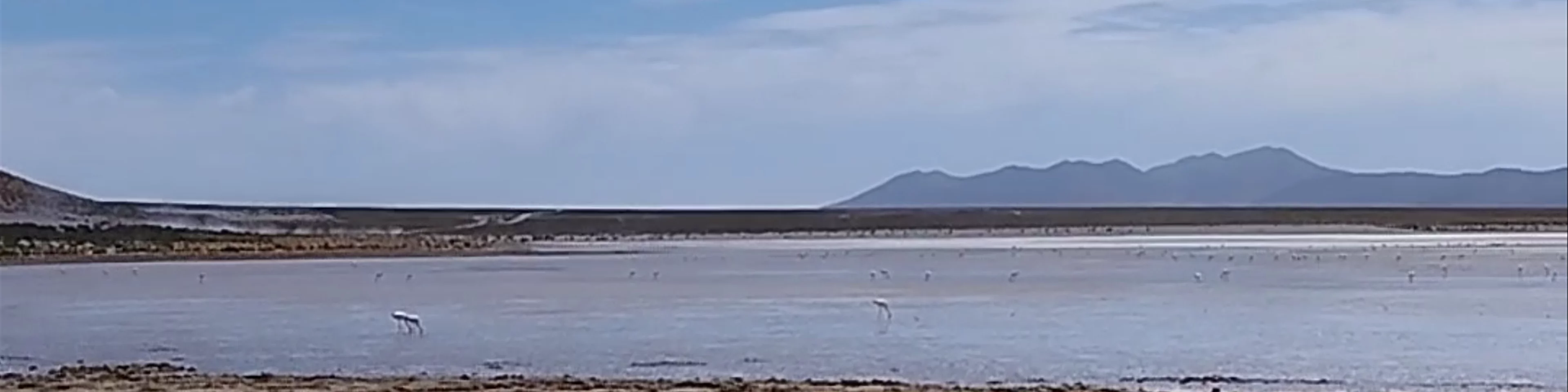 Mirador Laguna Vinto