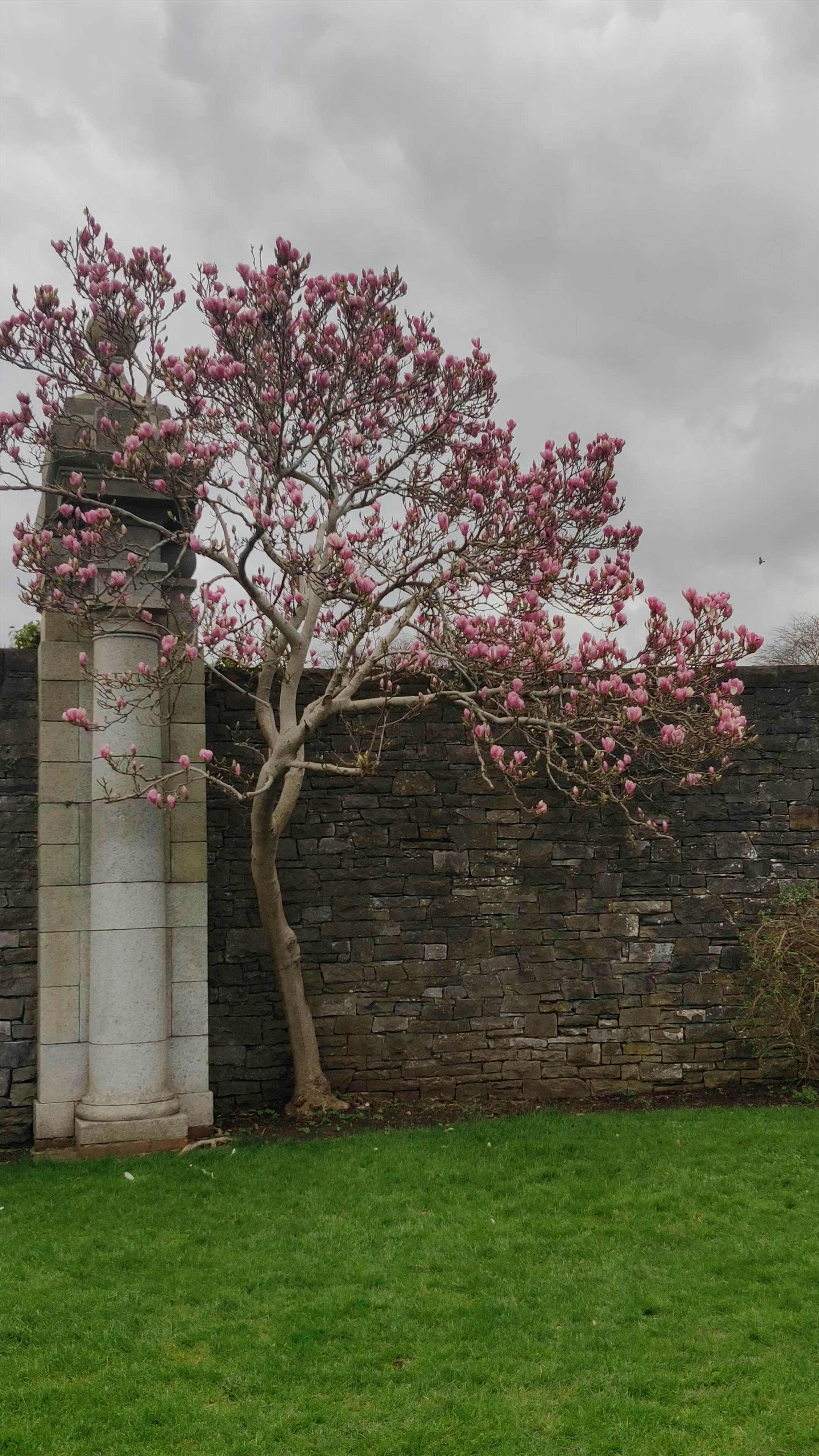 Irish National War Memorial Gardens: A Serene Tribute in Dublin