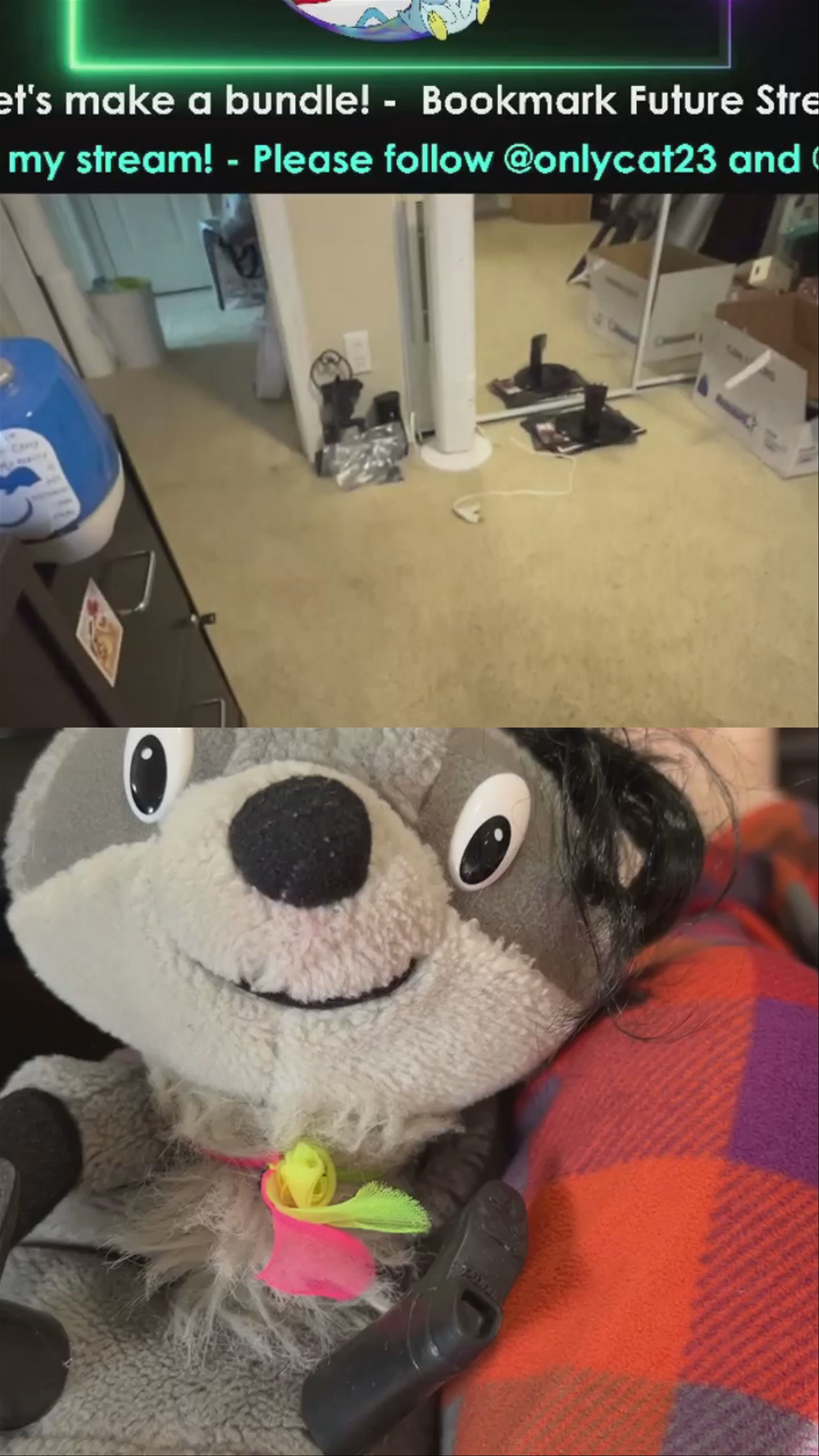Beeko stops in for Birthday Wishes and shows off his new legs 🦵 🧐