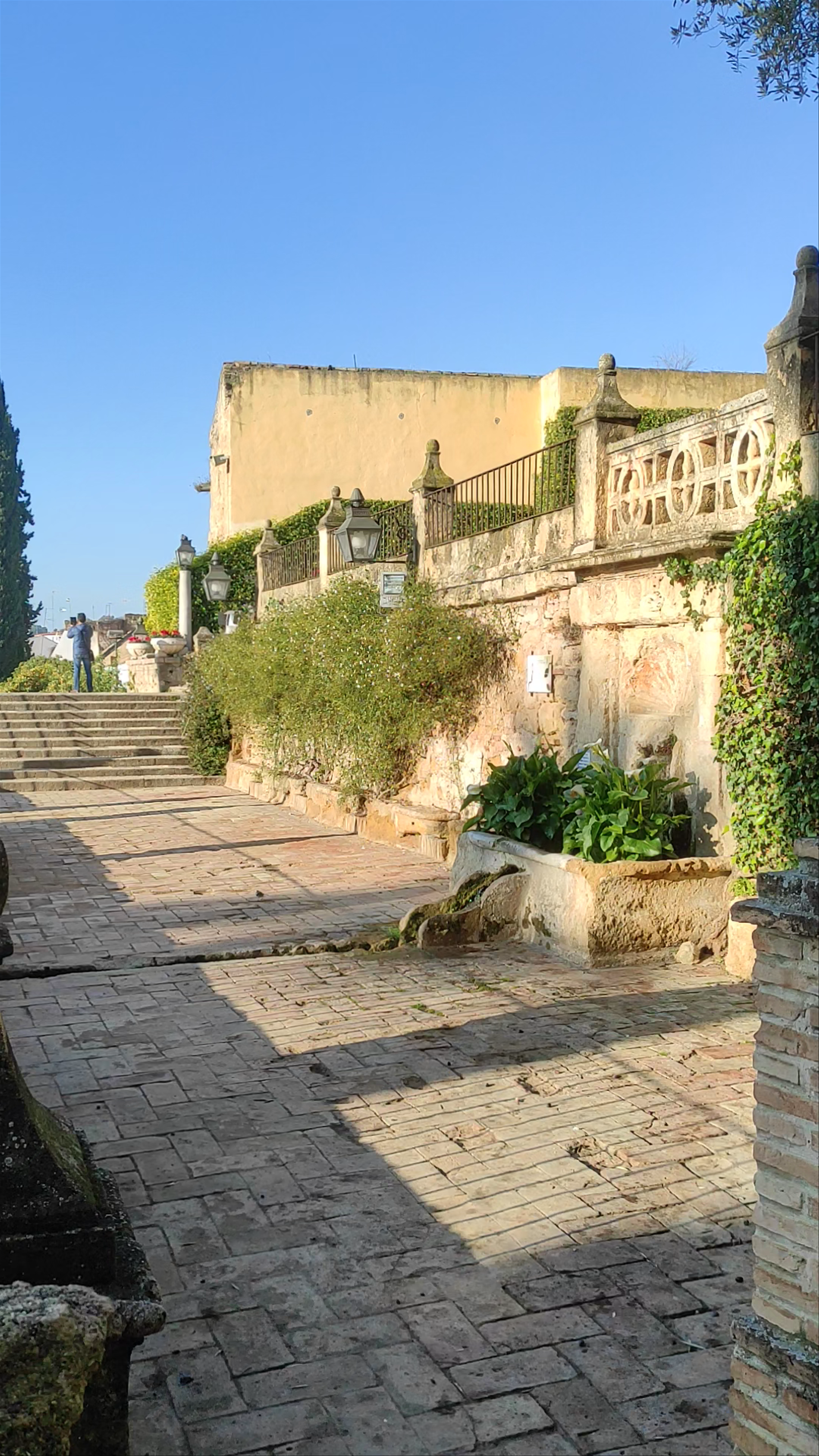 Serene Winter Morning at Alcázar de los Reyes Cristianos, Córdoba