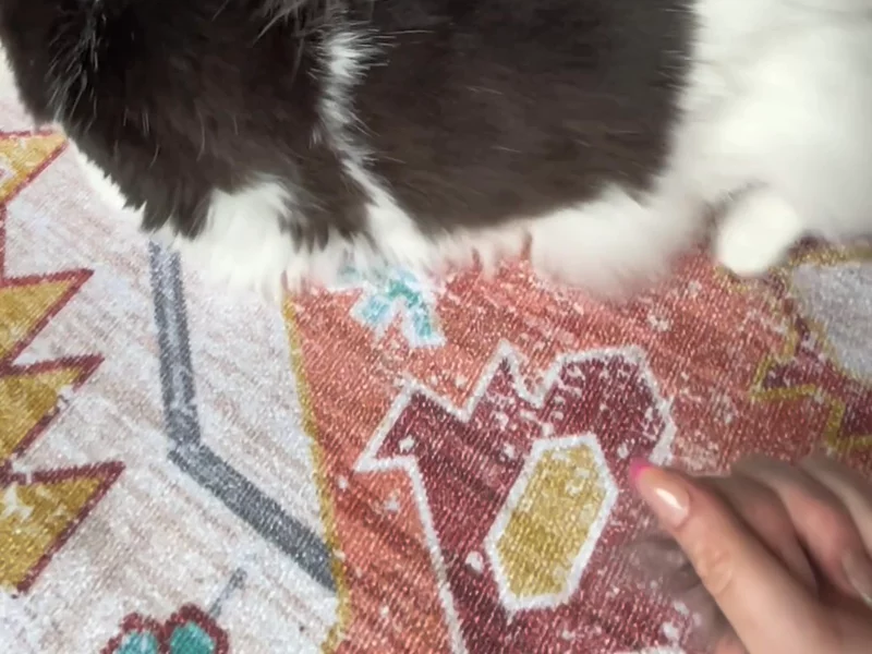 Pet grooming brush