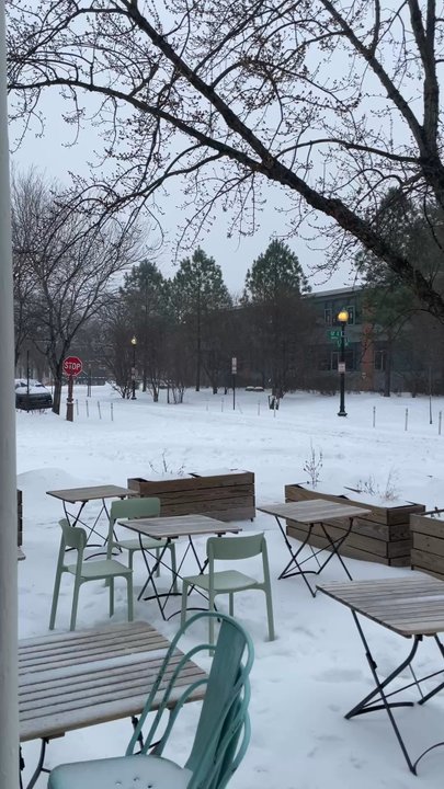 The Coffee Bar - Snow day - Coffee & Tea Near Me - Washington, DC, District of Columbia