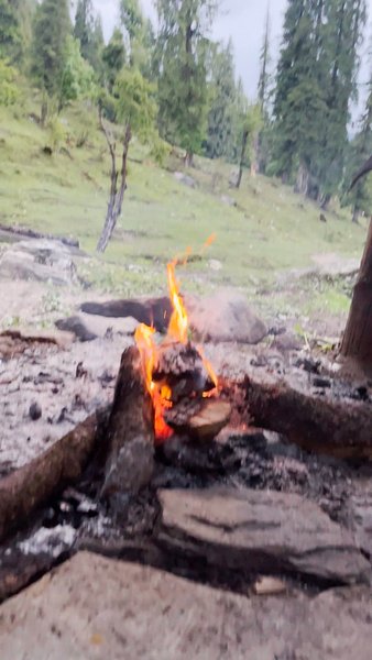 Photo of solo camping in dens