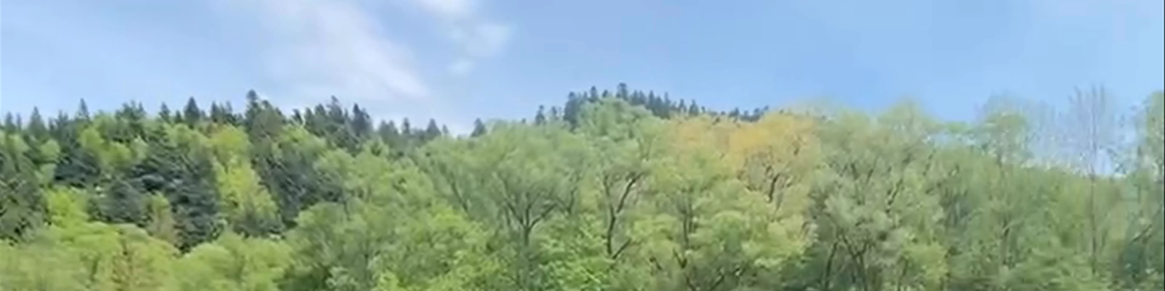 Stierlochjoch