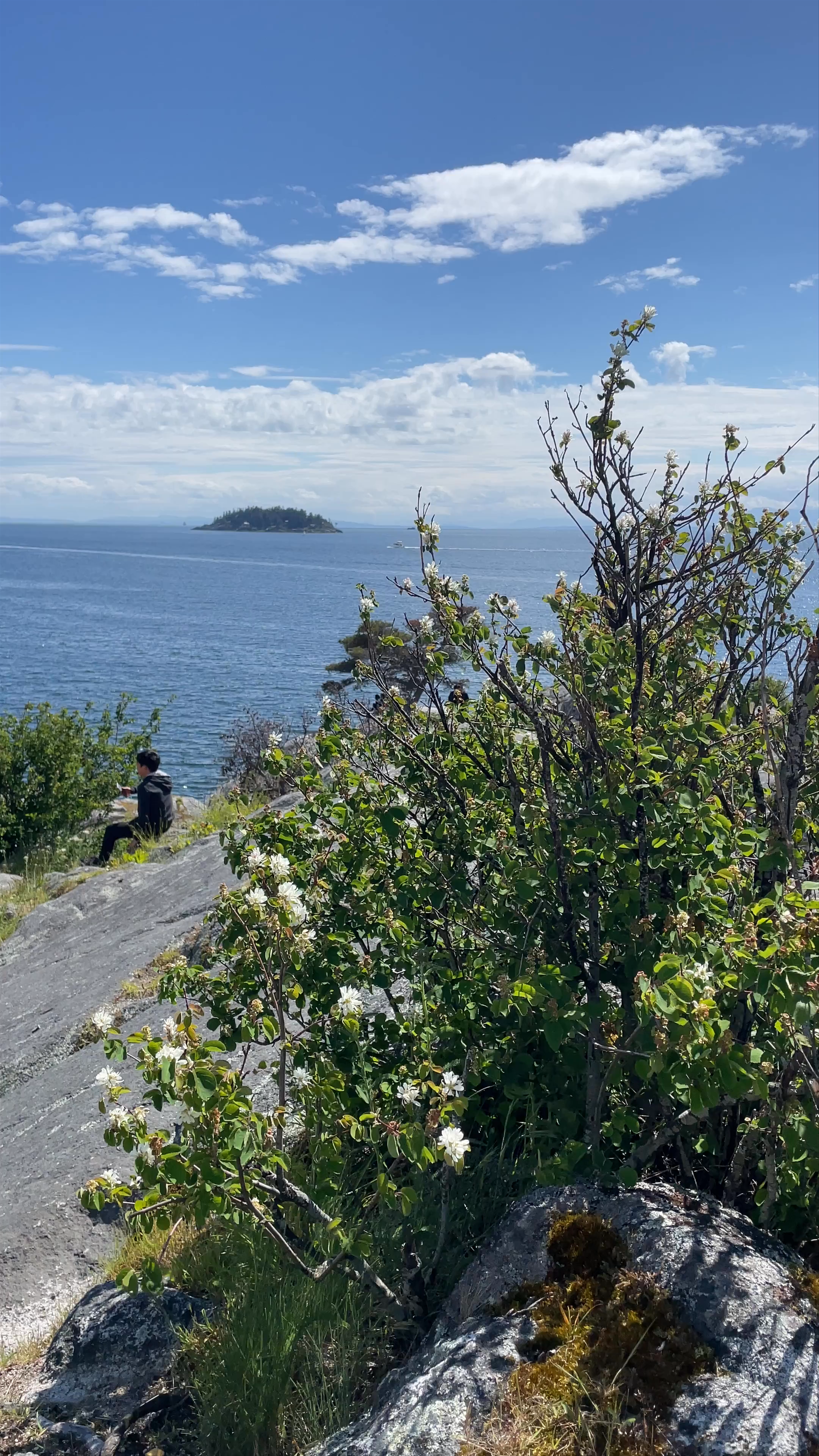 Whytecliff Park | West Vancouver
