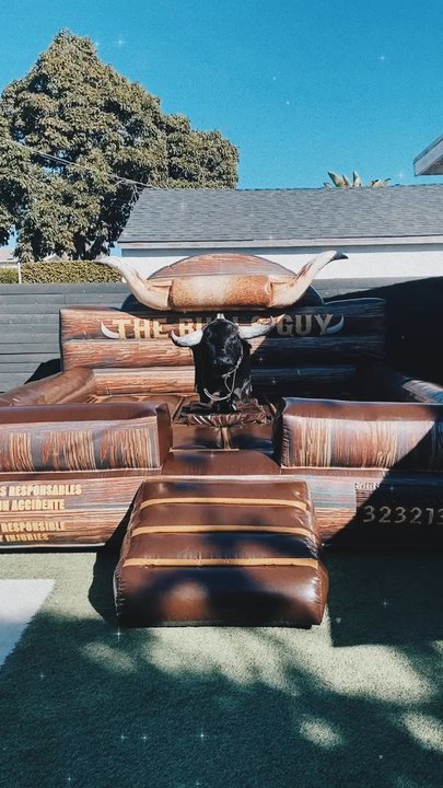 The Bulls Guy - The bull looked amazing! - Bounce House Rentals Near Me