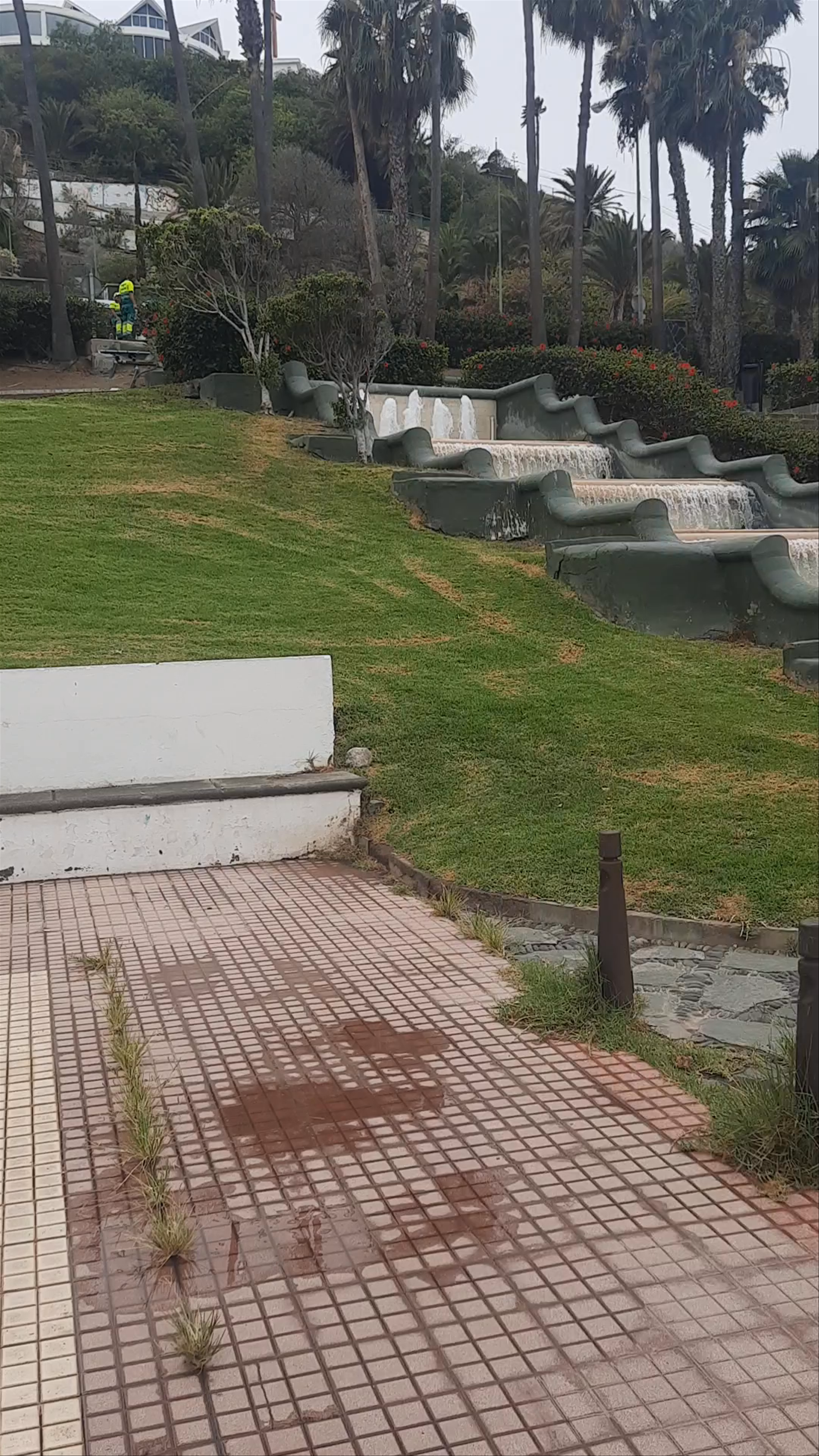 Parque Doramas