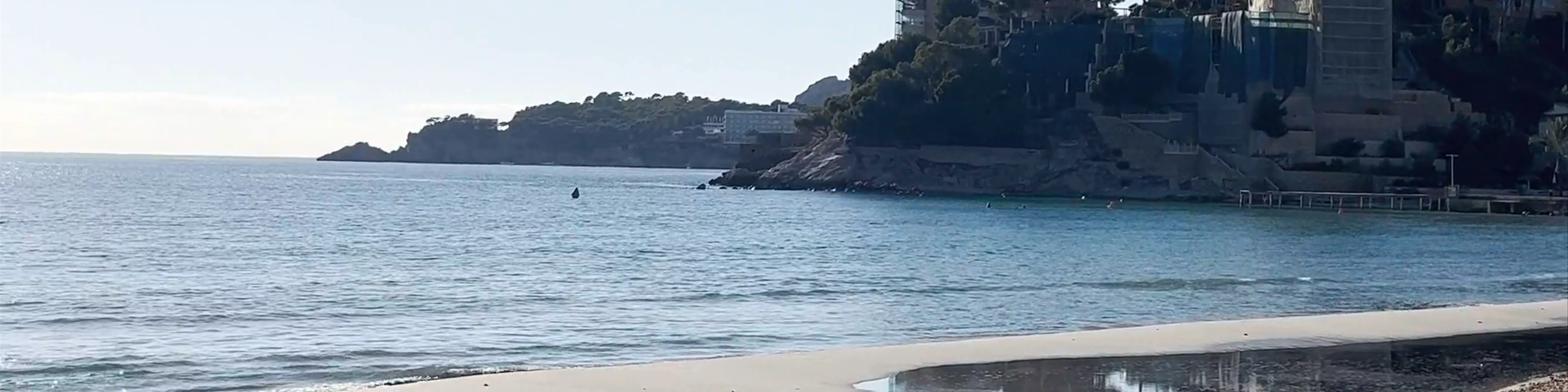 Playa Palmira