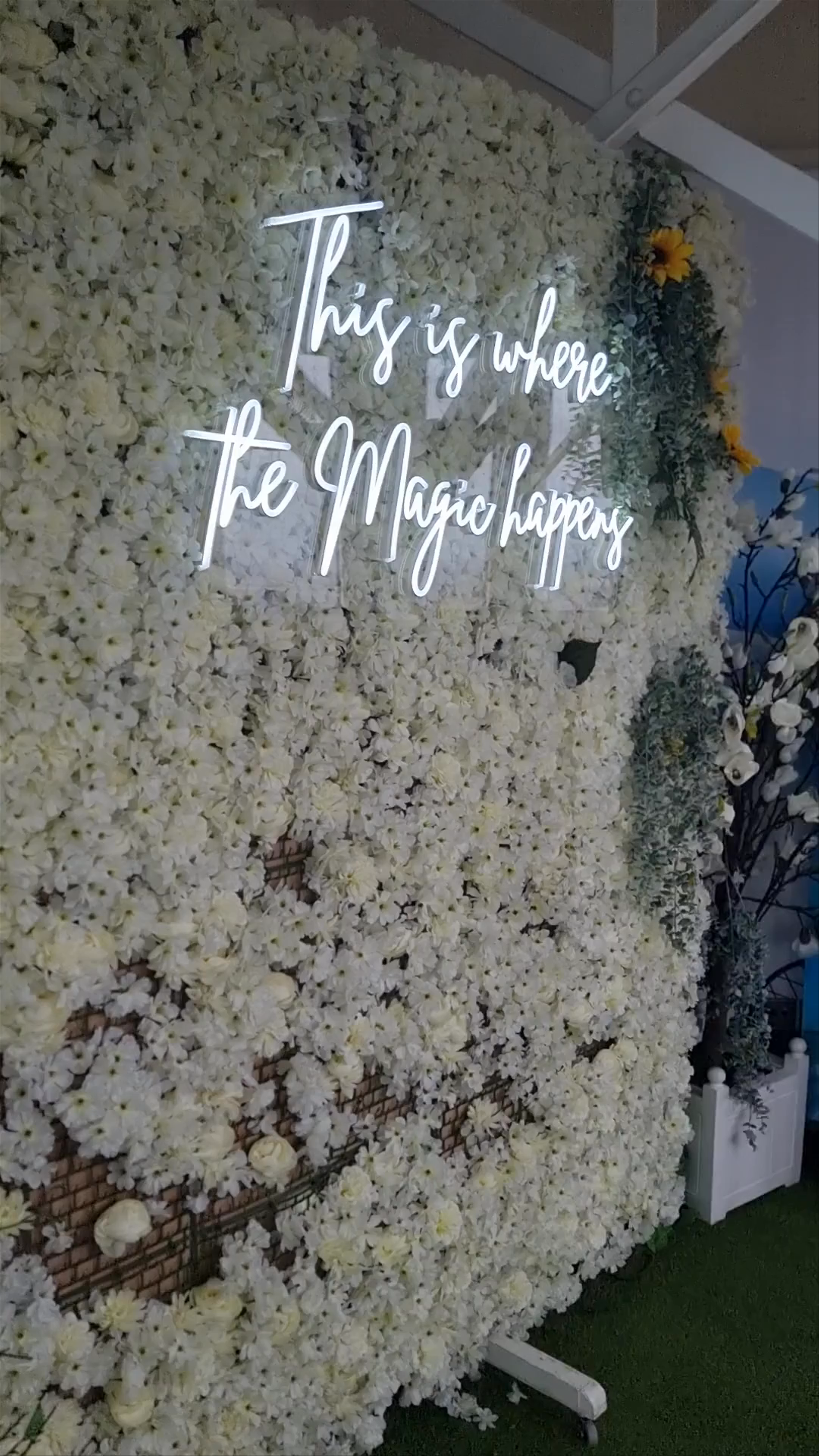 The Blackpool Tower Eye