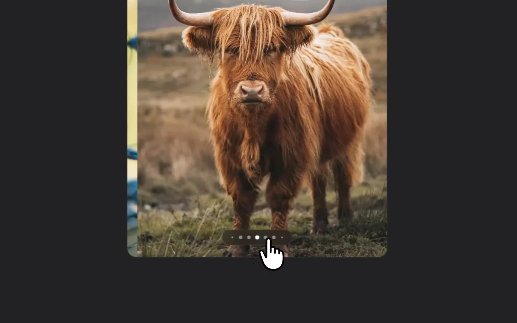 That kind of little detail in the dynamic pagination of a slideshow 👀 I like it