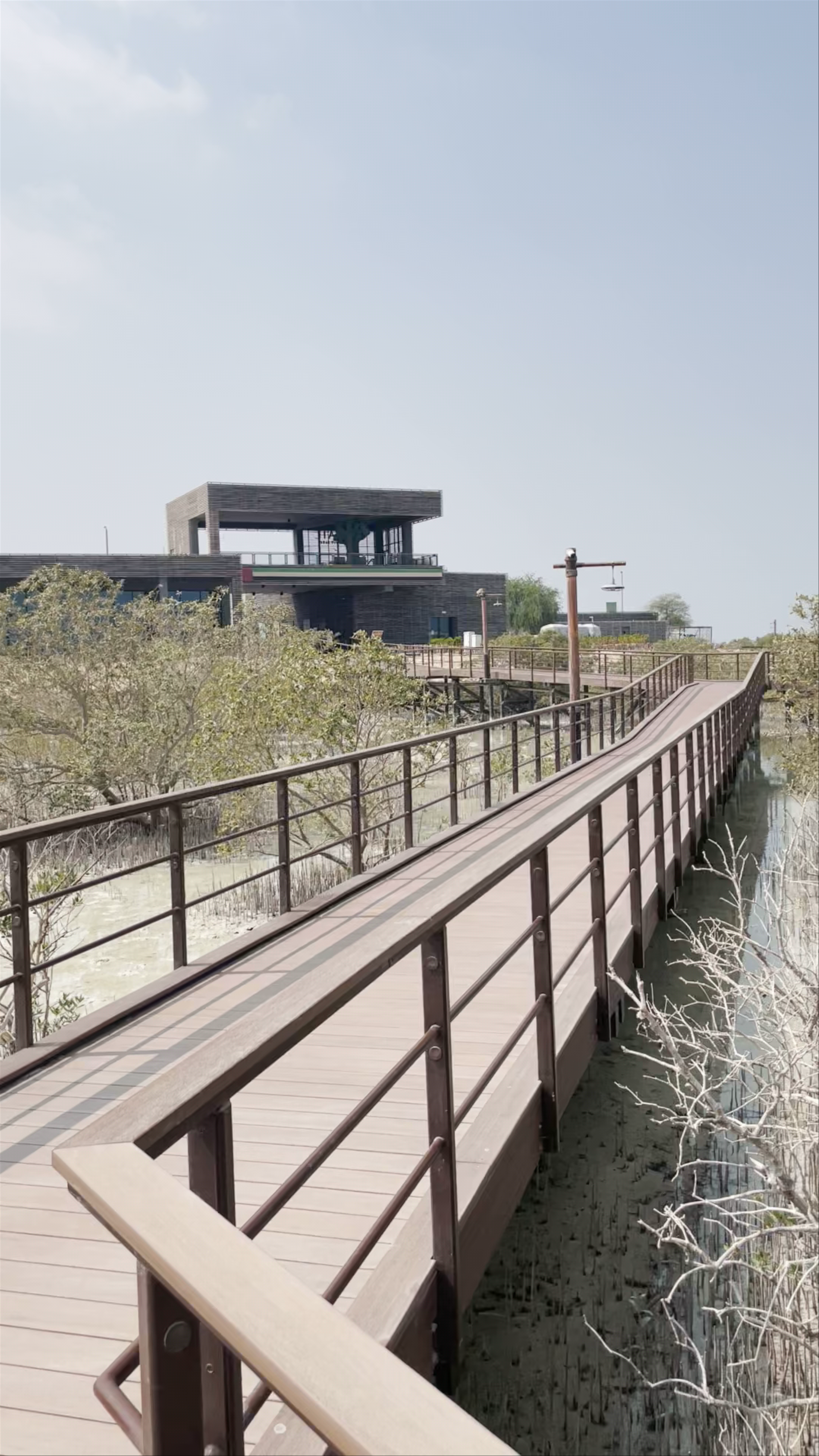 Eastern Mangrove Park - Abu Dhabi - United Arab Emirates