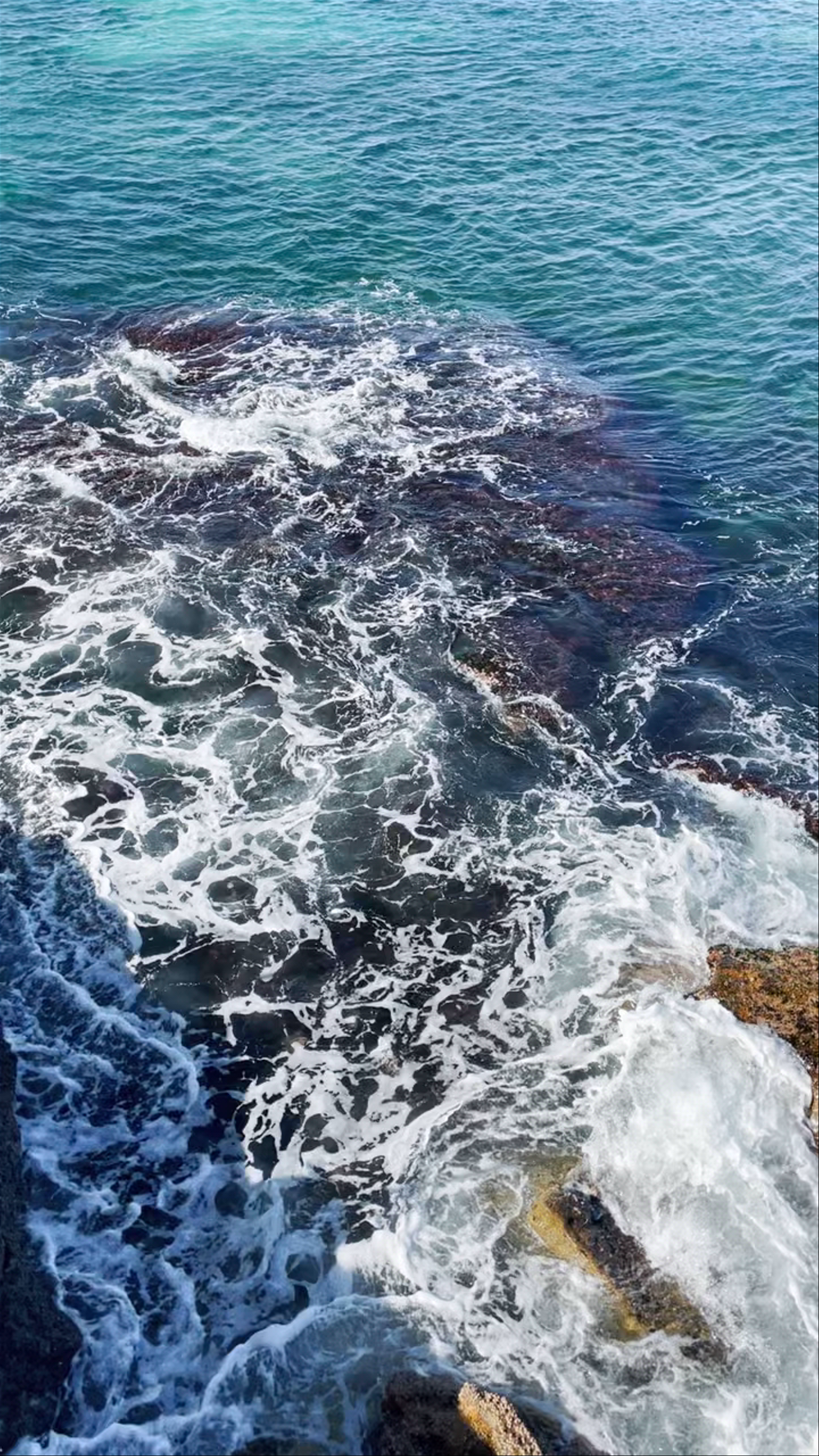 Bondi Icebergs POOL