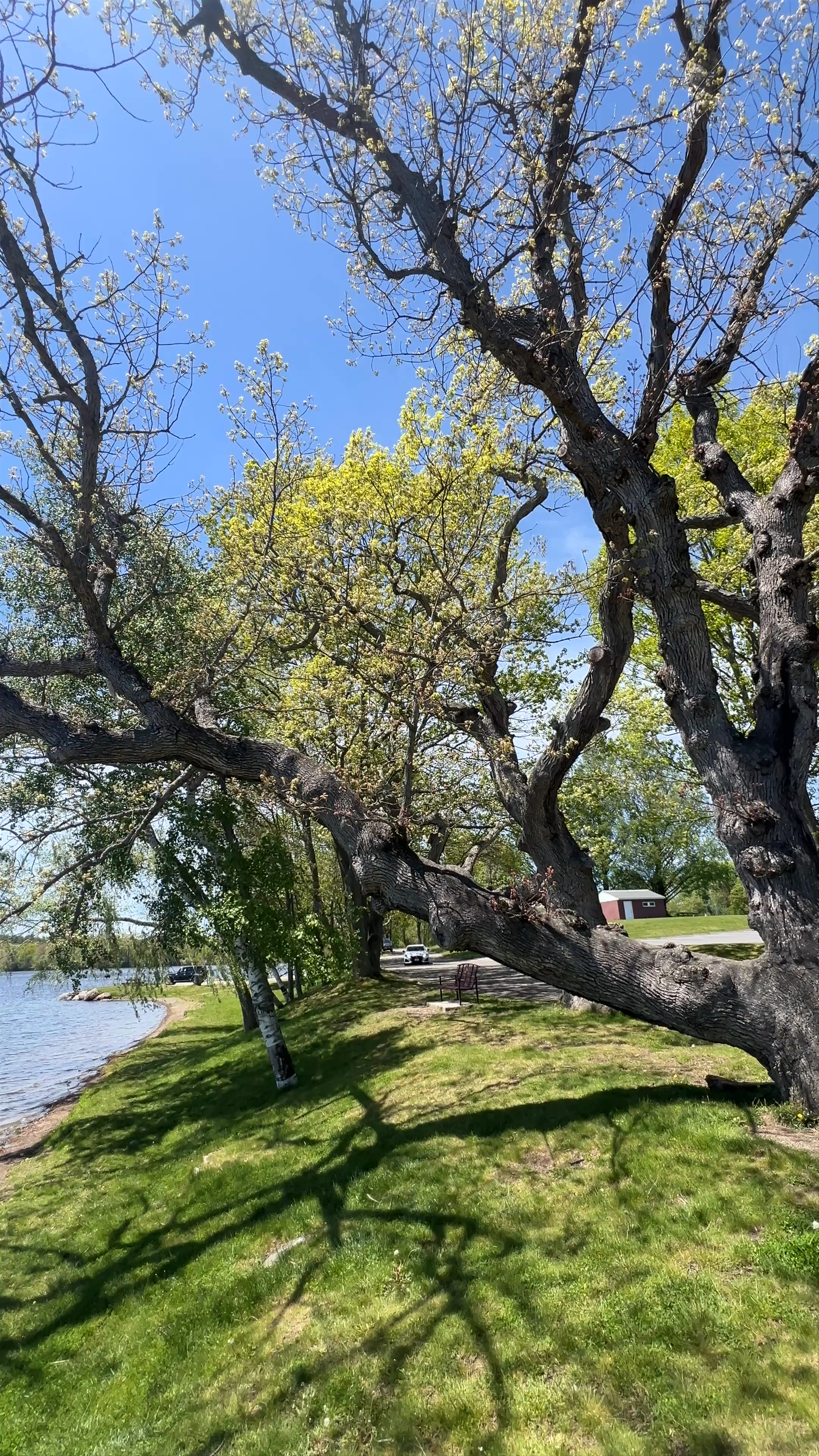 Chauncy Lake