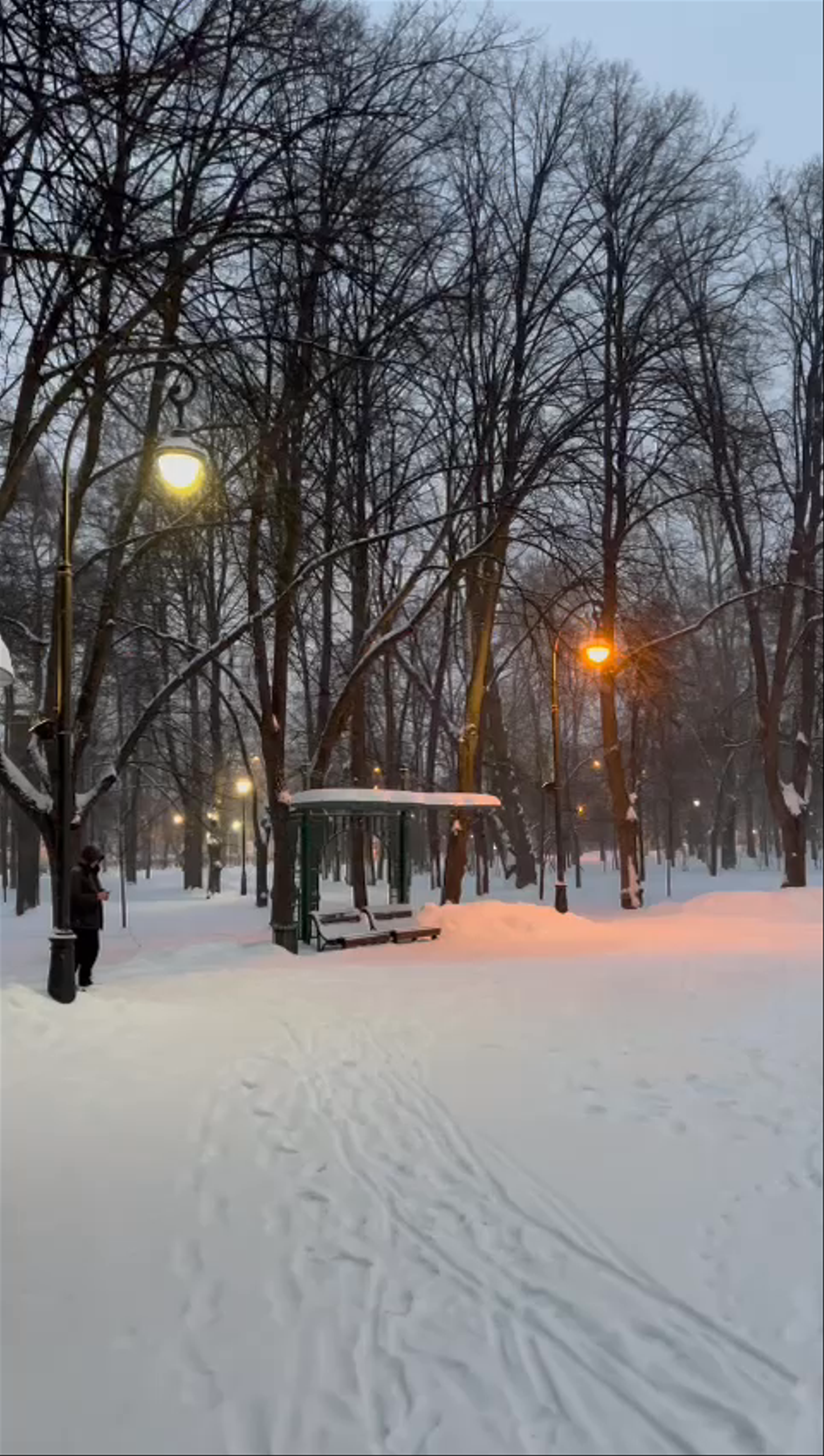 Winter Serenity at Devichye Polye Square, Moscow