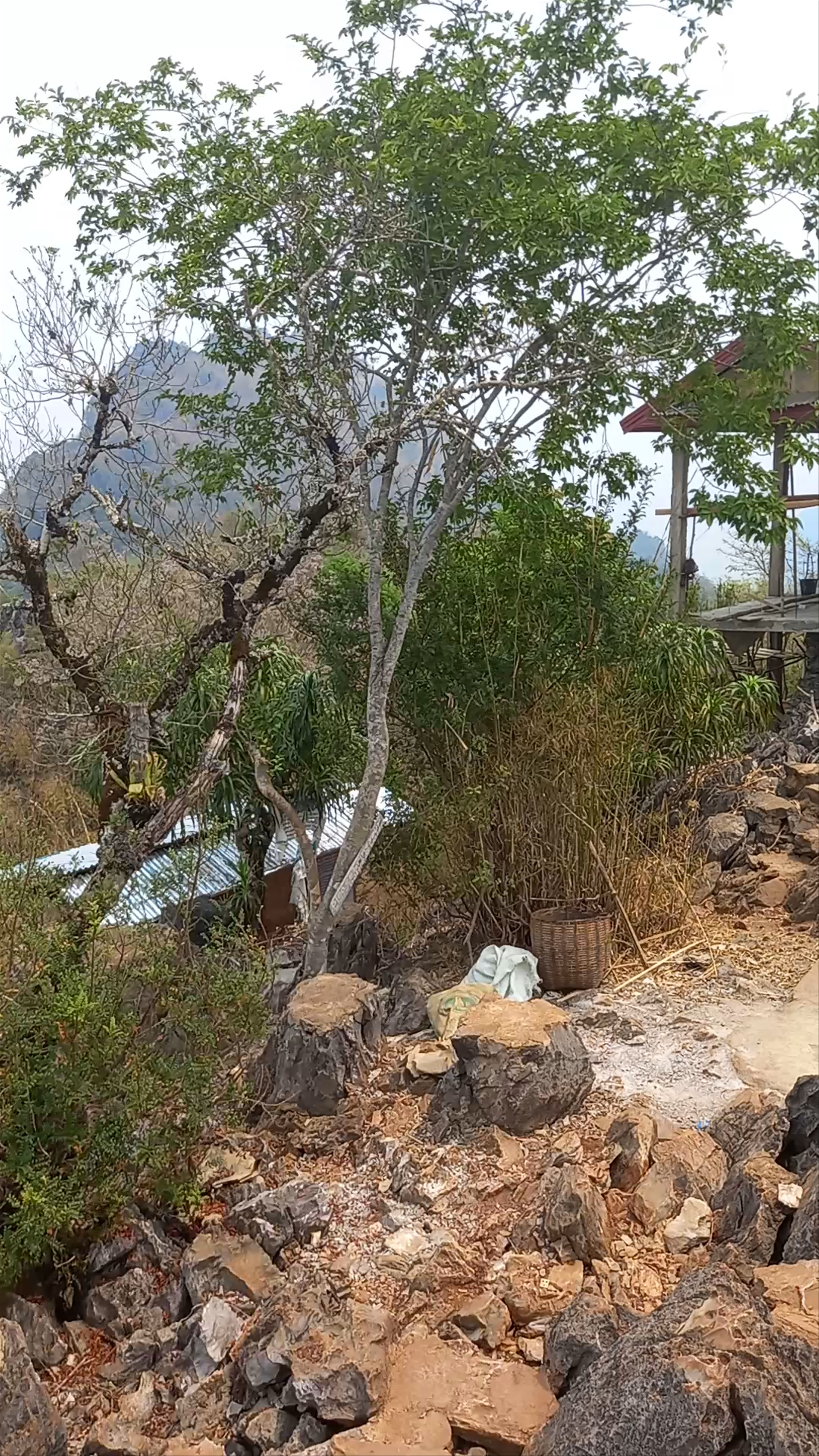 Nong Khiaw Viewpoint