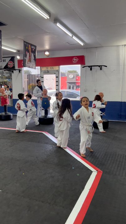 Villa's Tae Kwon Do - Taekwondo Near Me - Los Angeles, California