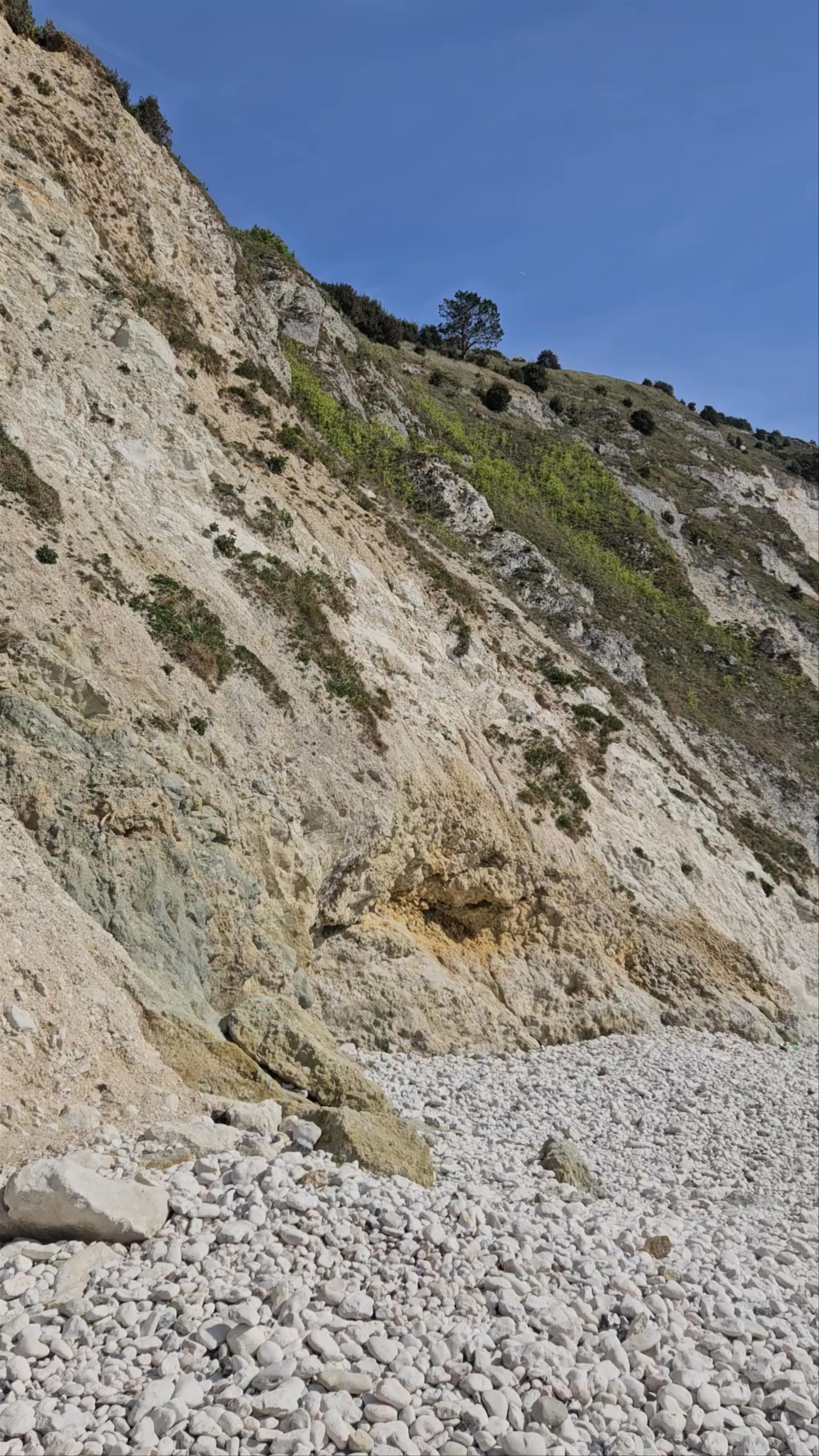 Lulworth Cove