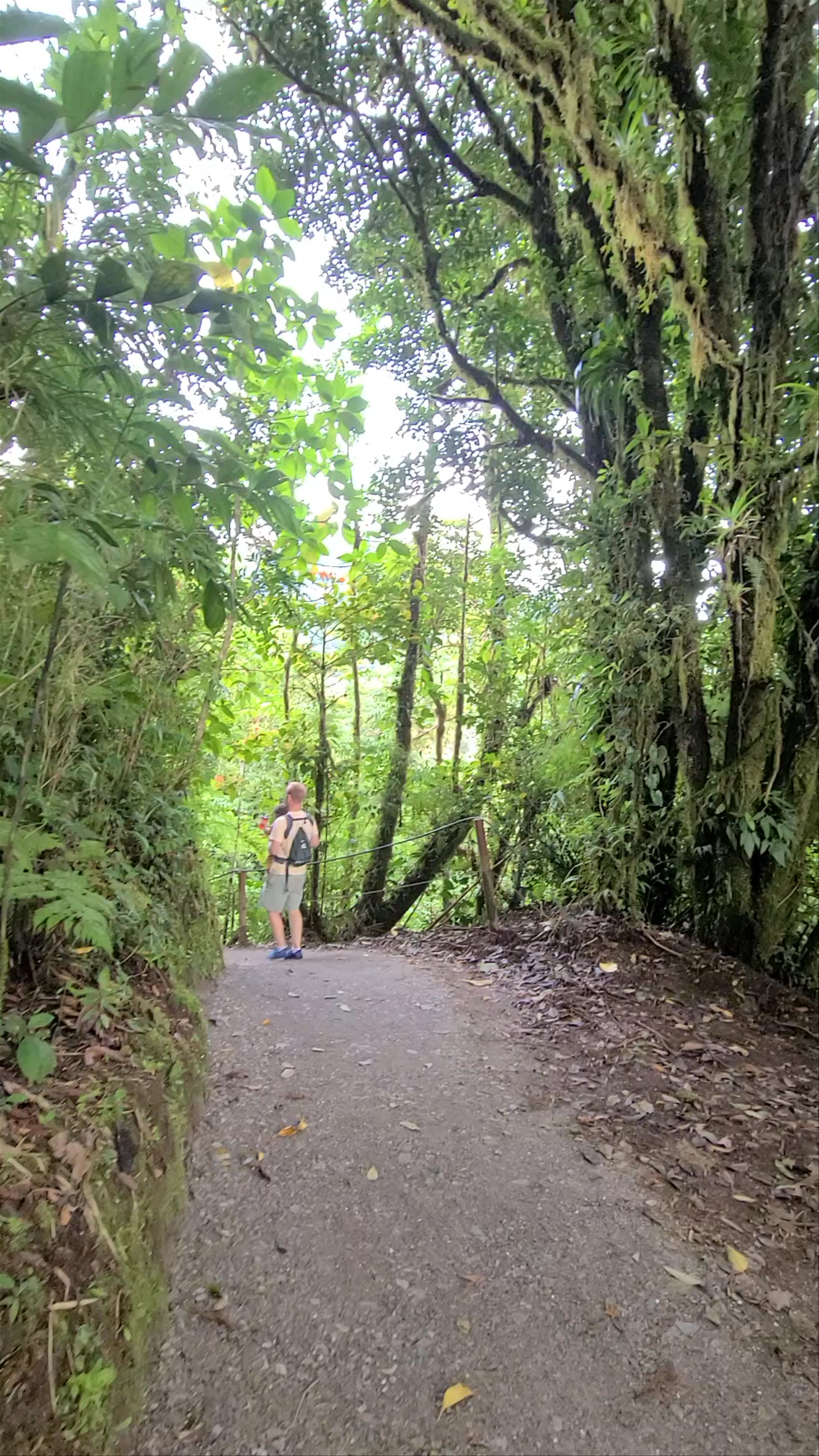 Sky Adventures Monteverde Park