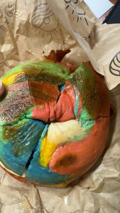 Fin’s Bagels - Bagels Near Me - Honolulu, Hawaii