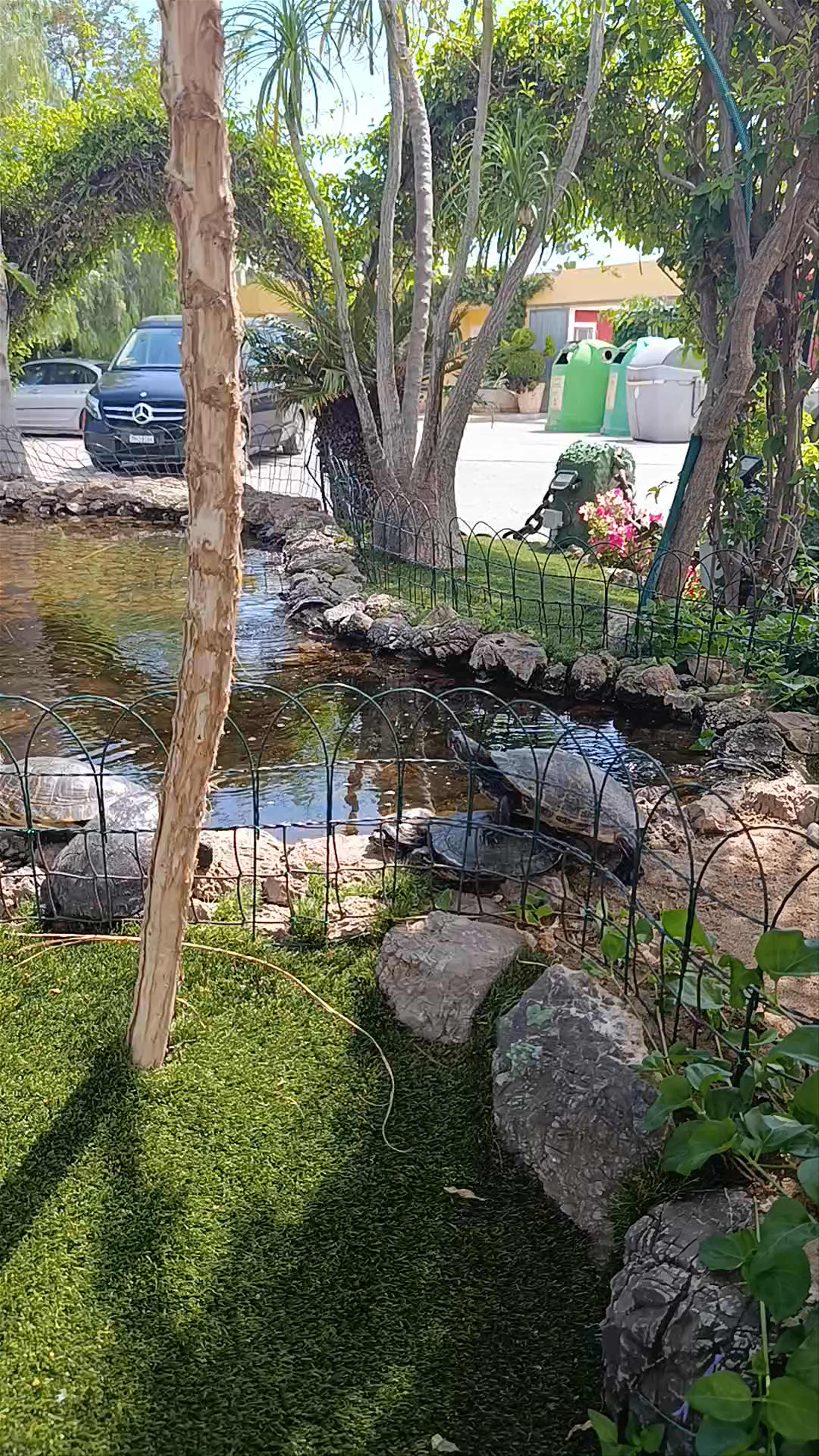 Camping Playa de Mazarrón