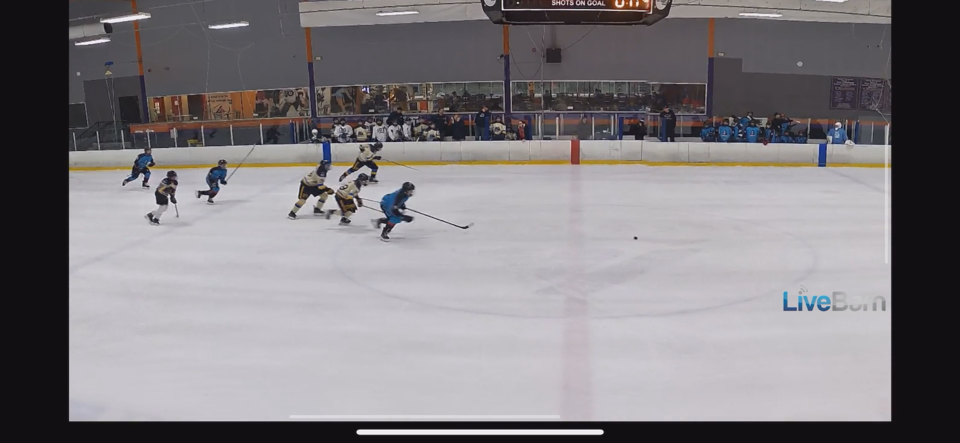 Iceworks Memorial Day Tournament 2024/25