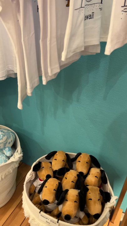Moni - Accessories Near Me - Honolulu, Hawaii