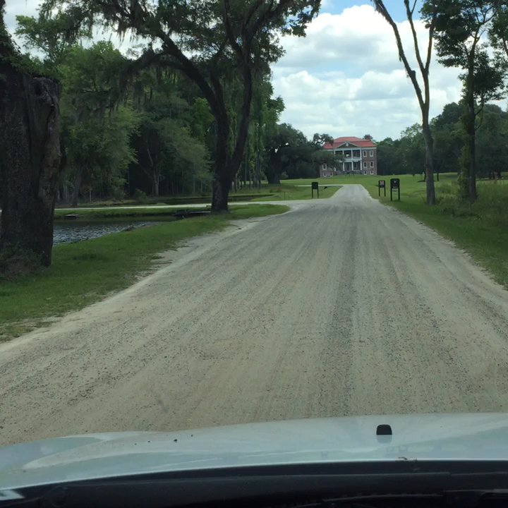 Drayton Hall - Approaching Drayton Hall - Museums Near Me - Charleston, South Carolina