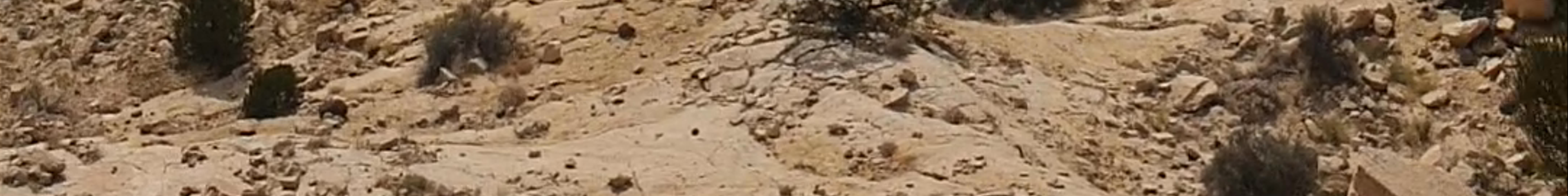Tours & experiences in Escalante