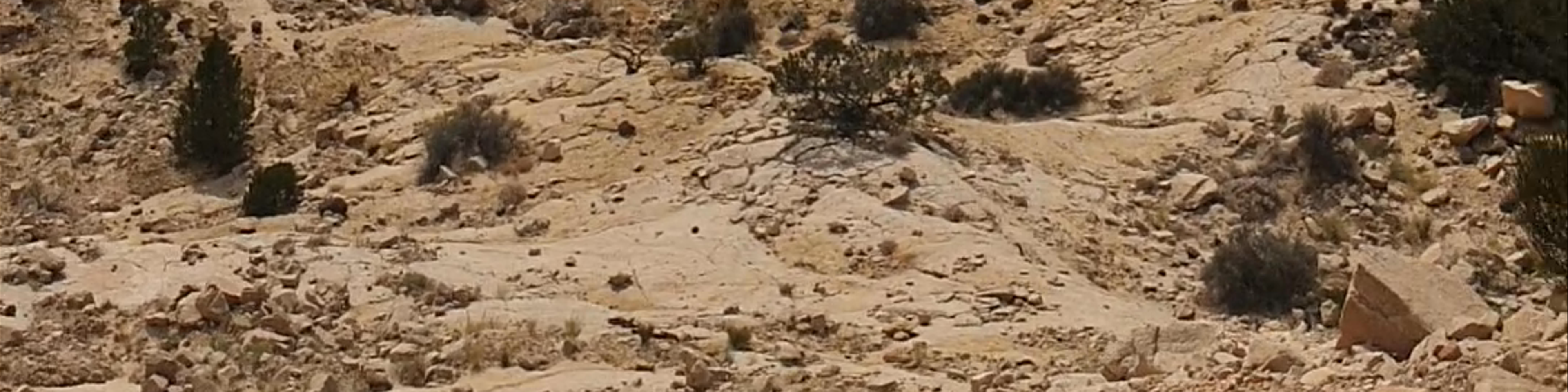 Escalante