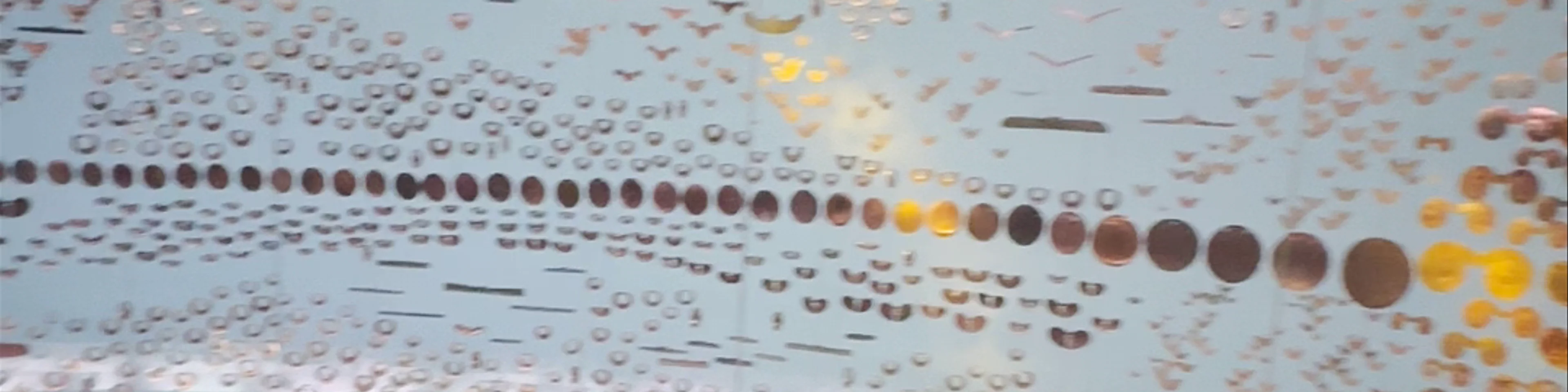 Museo del Oro