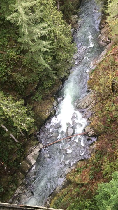 Carbon River - Video of Carbon River - view from Fairfax Bridge - Hiking Near Me - Carbonado, Washington