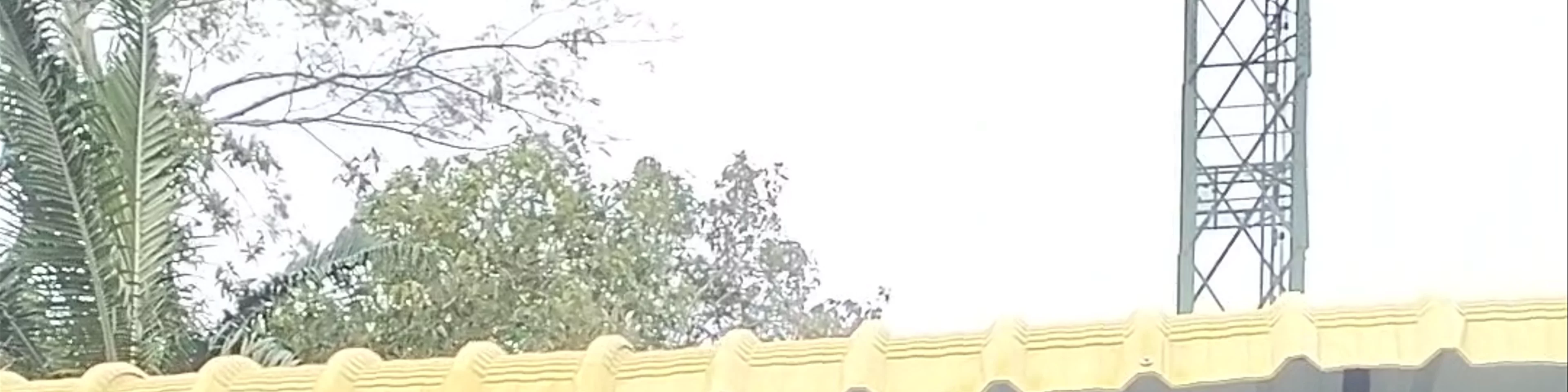 Golden Restaurant