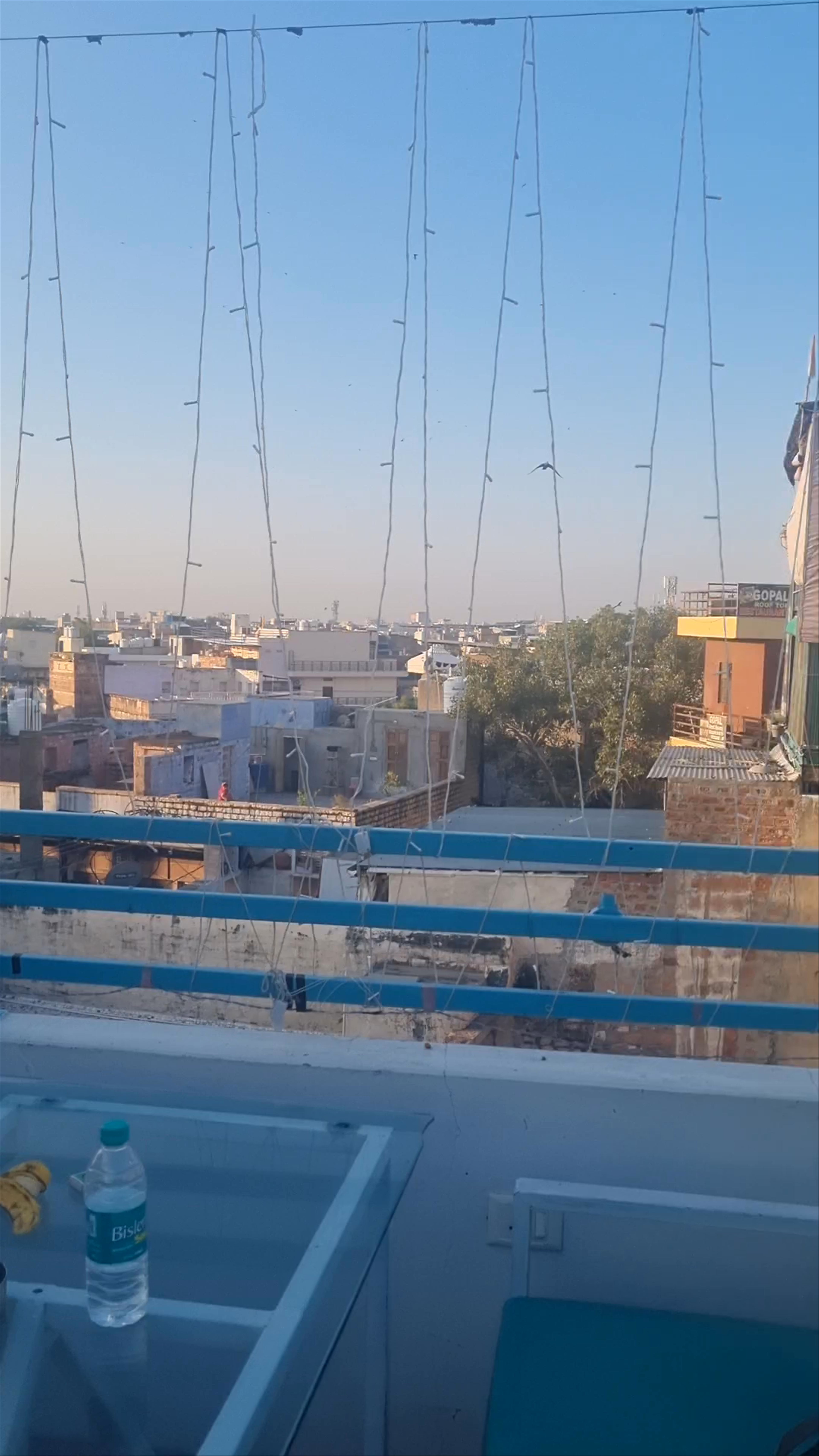Zostel Jodhpur