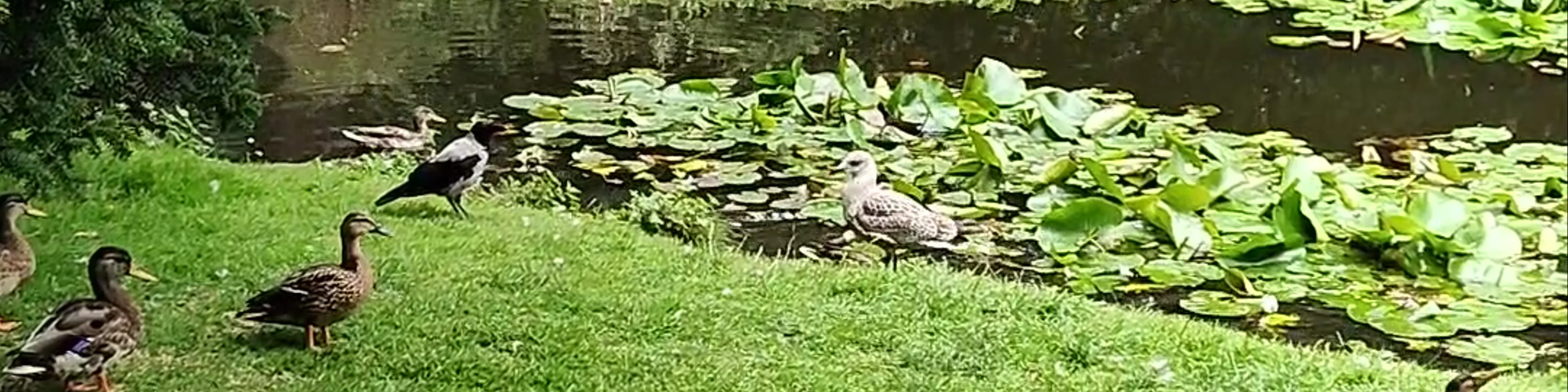 National Botanic Gardens