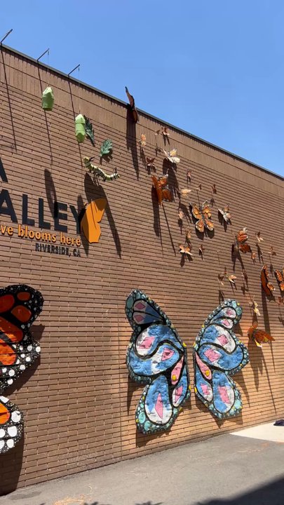Mariposa Alley - Public Art Near Me